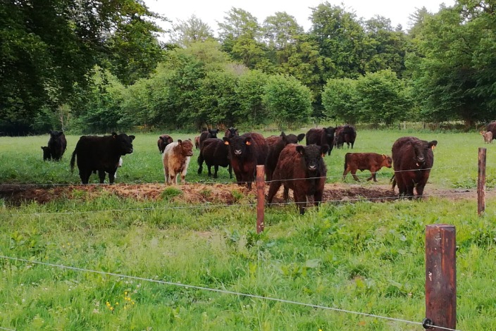 Ferme du Pré Bosquay