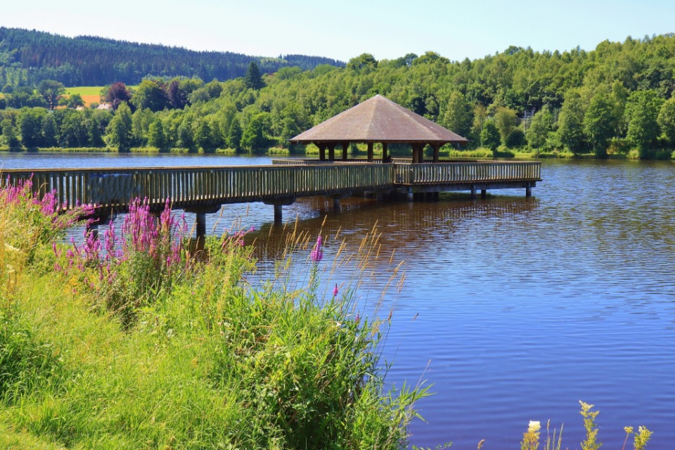 Het Meer van Vielsalm: biodiversiteit en natuurpracht in de Ardennen