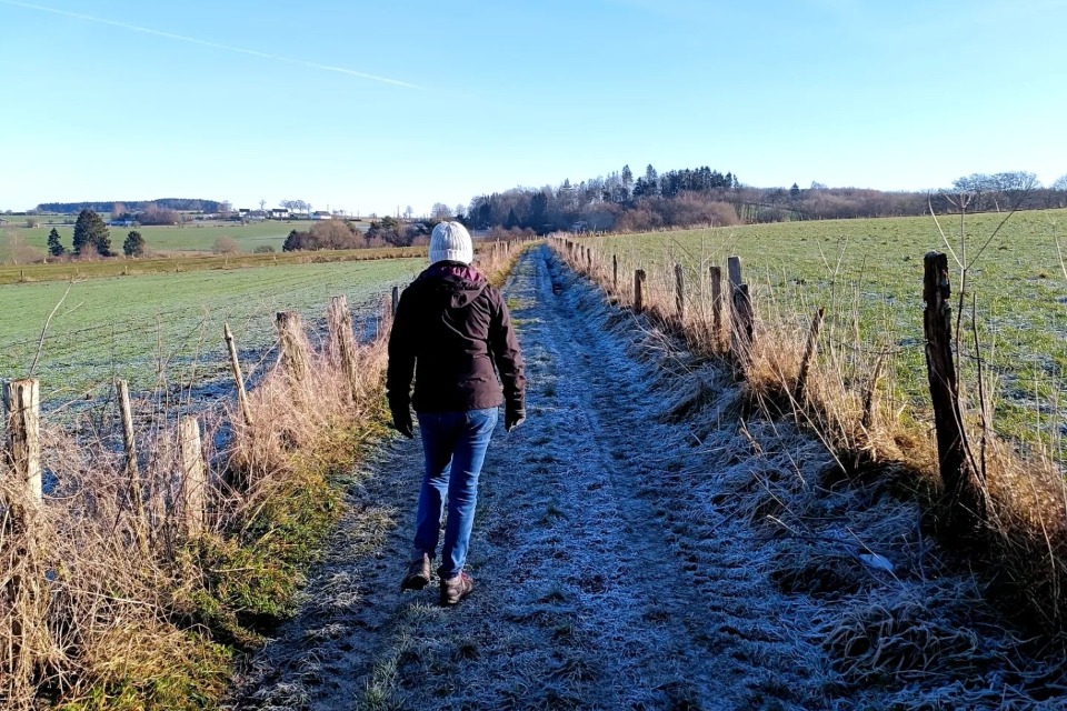 Info balades en Haute Ardenne