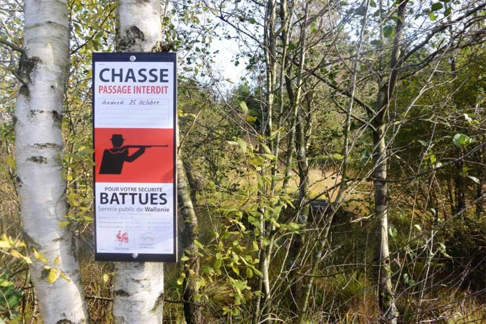 Battues de chasse : circuits fermés (octobre-décembre)