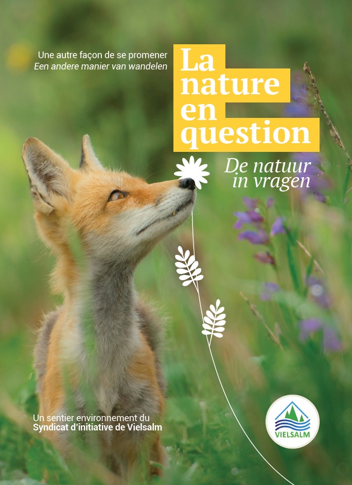 Sentier la Nature en questions